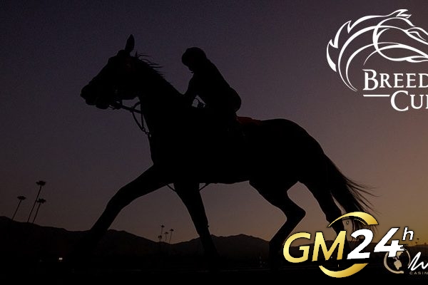 Breeders' Cup Classic ปี 2023 นำเสนอการเสียชีวิตและการบาดเจ็บของม้าตัวโปรด